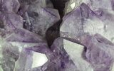 Amethyst Cluster ( lbs) - Massive Points #64760-2